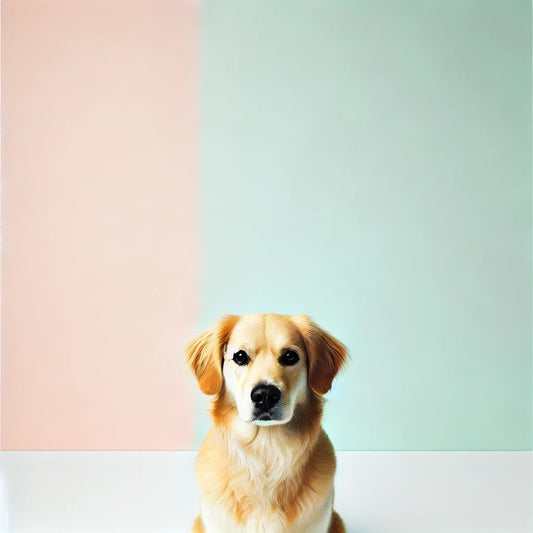 How a Millet-Based Diet Can Help Your Dog Live Longer