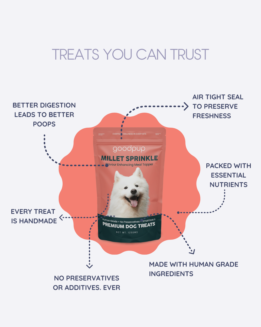 A bag of healthy, human-grade dog treats  in the Millet Sprinkle flavor. The bag highlights key benefits: better digestion, no preservatives, handmade, and an airtight seal for freshness. It is a gluten-free, natural snack for dogs.