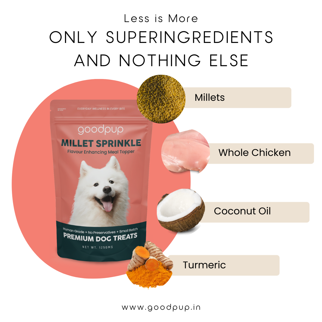 goodpup Millet Sprinkle dog treat package with superingredients on a white background. A package of GoodPup's best healthy dog treats: Millet Sprinkle biscuits. These natural, gluten-free, and grain-free doggy snacks are made in India with human-grade ingredients, contain no preservatives, and are a non-allergen puppy food option.